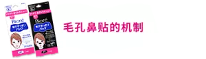 毛孔鼻贴的机制