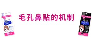 毛孔鼻贴的机制