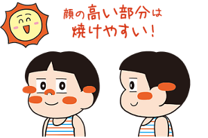 顔の高い部分は焼けやすい!