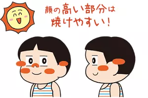 顔の高い部分は焼けやすい!