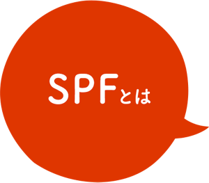 SPFとは