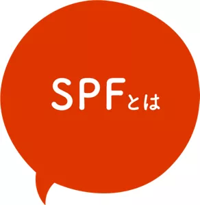SPFとは