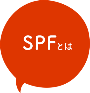 SPFとは