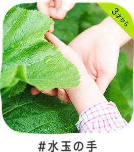 3才から #水玉の手