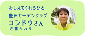 おしえてくれるひと:豊洲ガーデンクラブ コンドウ(近藤かおり)さん