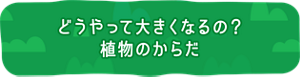どうやって大きくなるの? 植物のからだ