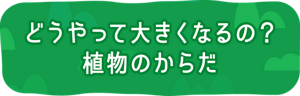 どうやって大きくなるの? 植物のからだ