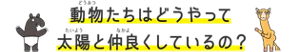 動物たちはどうやって太陽と仲良くしているの?
