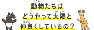 動物たちはどうやって太陽と仲良くしているの?