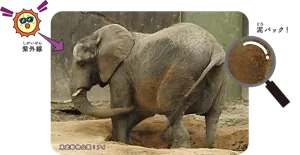 泥パック!