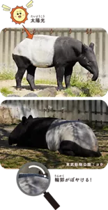 輪郭がぼやける!