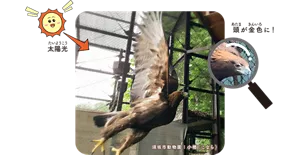 頭が金色に!