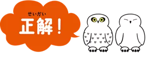正解!