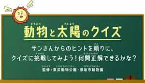 動物と太陽のクイズ。サンさんからのヒントを頼りに、クイズに挑戦してみよう! 何問正解できるかな? 監修:東武動物公園・須坂市動物園