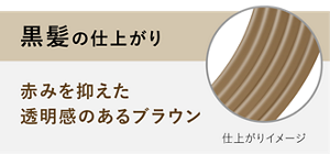 黒髪の仕上がり 赤みを抑えた透明感のあるブラウン