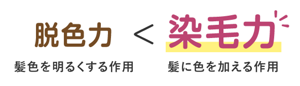脱色力(髪色を明るくする作用)<染毛力(髪に色を加える作用)