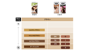 黒髪用・白髪用ヘアカラー ブラウン系明るさ対応表