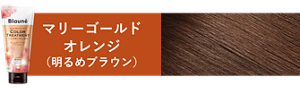 マリーゴールドオレンジ(明るめブラウン)の仕上がり色見本