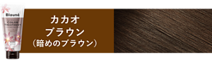 カカオブラウン(暗めのブラウン)の仕上がり色見本