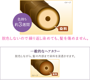 色持ち約3週間 一般的なヘアカラーは脱色しながら髪の内部まで染料を浸透させますが、美髪ヘアマニキュアは脱色しないので繰り返し染めても、髪を傷めません。