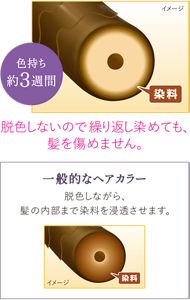 色持ち約3週間 一般的なヘアカラーは脱色しながら髪の内部まで染料を浸透させますが、美髪ヘアマニキュアは脱色しないので繰り返し染めても、髪を傷めません。