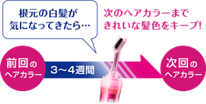 前回のヘアカラーから3〜4週間経って根元の白髪が気になってきたら… 次のヘアカラーまできれいな髪色をキープ! 次回のヘアカラー