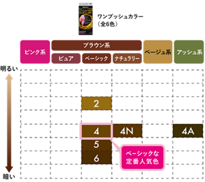 ワンプッシュカラー カラーバリエーション(全6色) ベーシックブラウン系:2 4(ベーシックな定番人気色) 5 6 ナチュラリーブラウン系: 4N アッシュ系:4A ※小さい数字ほど明るい色になります