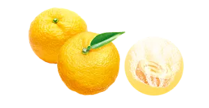 ゆずのイメージ画像。湯の色ナチュラルイエロー(色つき透明)を表す錠剤のイメージ画像