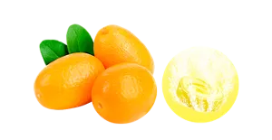 きんかんのイメージ画像。湯の色フレッシュイエロー(色つき透明)を表す錠剤のイメージ画像