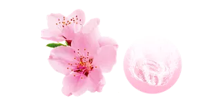 桜のイメージ画像。湯の色ノーブルピンク(色つき透明)を表す錠剤のイメージ画像