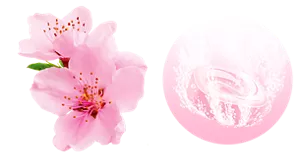 桜のイメージ画像。湯の色ノーブルピンク(色つき透明)を表す錠剤のイメージ画像