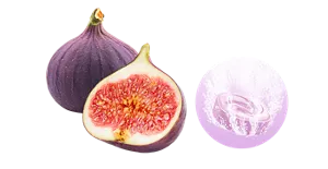 無花果のイメージ画像。湯の色ピュアパープル(色つき透明)を表す錠剤のイメージ画像