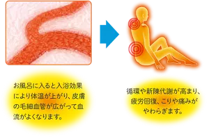 毛細血管のイメージ画像。お風呂に入ると入浴効果により体温が上がり、皮膚の毛細血管が広がって血流がよくなります。→お風呂で疲労回復している人物のイメージ画像。循環や新陳代謝が 高まり、疲労回復、こりや痛みがやわらぎます。