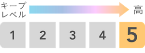 キープレベル5/5