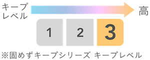 キープレベル3/3 ※固めずキープシリーズ キープレベル