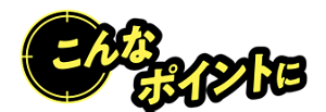 こんなポイントに