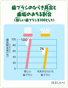 歯ブラシの開き具合と歯垢のおちる割合は新しいハブラシを100とすると毛先が開いた歯ブラシは74まで下がります。