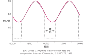 睡眠中の唾液分泌量は、起きている時の半分程度に減っています。