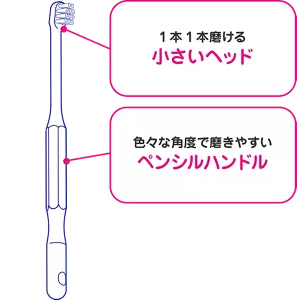 1本1本磨ける小さいヘッド/色々な角度で磨きやすいペンシルハンドル