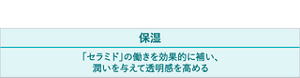 保湿 「セラミド」の働きを効果的に補い、潤いを与えて透明感を高める