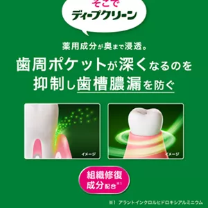 そこで、ディープクリーン。薬用成分が奥まで浸透。歯周ポケットが深くなるのを抑制し歯槽膿漏を防ぐ。組織修復成分配合(※1)(※1 アラントインクロルヒドロキシアルミニウム)
