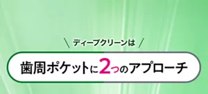 ディープクリーンは歯周ポケットに2つのアプローチ