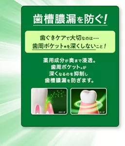 歯槽膿漏を防ぐ! 歯ぐきケアで大切なのは・・・歯周ポケット(*)を深くしないこと! 薬用成分が奥まで浸透。歯周ポケット(*)が深くなるのを抑制し歯槽膿漏を防ぎます。