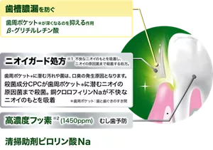 歯槽膿漏を防ぐ。歯周ポケット(*)が深くなるのを抑える作用 β-グリチルレチン酸。歯周ポケットが深くなると、次第に歯槽膿漏になり、歯を支える 骨まで溶けてしまいます。(*歯周ポケット:歯と歯ぐきのすき間。)/ニオイガード処方(※1) 不快なニオイのもとを吸着し、ニオイの原因菌まで殺菌する処方。歯周ポケット(*)に潜む汚れや菌は、口臭の発生原因となります。殺菌成分CPCが歯周ポケット(*)に潜むニオイの原因菌まで殺菌。銅クロロフィリンNaが不快なニオイのもとを吸着(*歯周ポケット:歯と歯ぐきのすき間。)/高濃度フッ素(※2) (1450ppm) むし歯予防/清掃助剤ピロリン酸Na