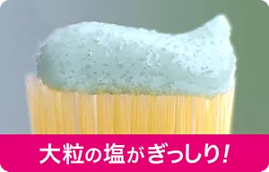 大粒の塩がぎっしり!