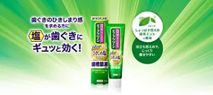 歯ぐきのひきしまり感を求める方に塩が歯ぐきにギュッと効く! しょっぱさ控えめ緑茶ミントの香味。泡立ち控えめで、じっくり磨きやすい