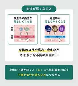 「血流が悪くなると」の説明画像。酸素や栄養分が届きにくくなる / 老廃物が溜まりやすくなる / 身体のコリや痛み・冷えなどさまざまな不調の原因に / 身体の不調が続くと心にも悪影響を及ぼす→不眠や気分の落ち込みにつながる