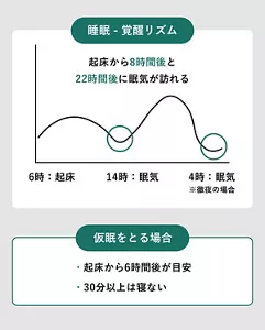 「睡眠・覚醒リズム」の説明画像。起床から8時間後と22時間後に眠気が訪れる。 / 6時:起床、14時:眠気、4時:眠気(徹夜の場合) / 仮眠をとる場合:・起床から6時間後が目安・30分以上は寝ない