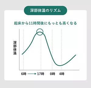 「深部体温のリズム」の説明画像。起床から11時間後にもっとも高くなる。 / 起床後の朝6時頃から上昇しはじめ、17時頃にピークを迎える。その後は、徐々に低下していく