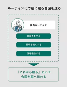 「ルーティン化で脳に眠る合図を送る」の説明画像。夜のルーティン :・歯磨きをする・照明を暗くする・深呼吸をする→「これから眠る」という合図が脳へ伝わる